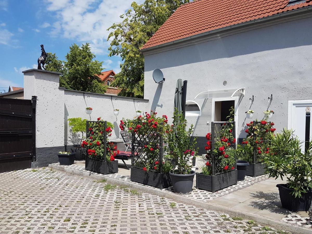 Markranstädt Pferdepension Jaeger מראה חיצוני תמונה